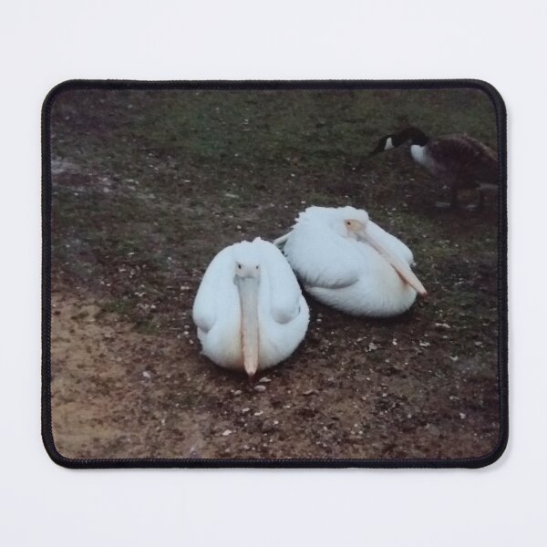 Item preview, Two long billed foul designed and sold by edwardtiptonart.