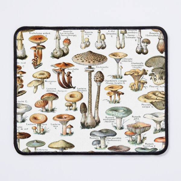 Item preview, Adolphe Millot Vintage Mushrooms designed and sold by koovoxdogs.