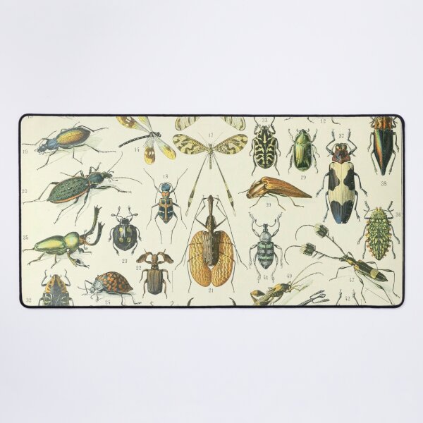 Item preview, Adolphe Millot Vintage Insect designed and sold by koovoxdogs.