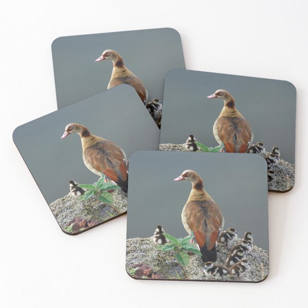 Item preview, Egyptian Goose and Goslings designed and sold by Anna Lemos.