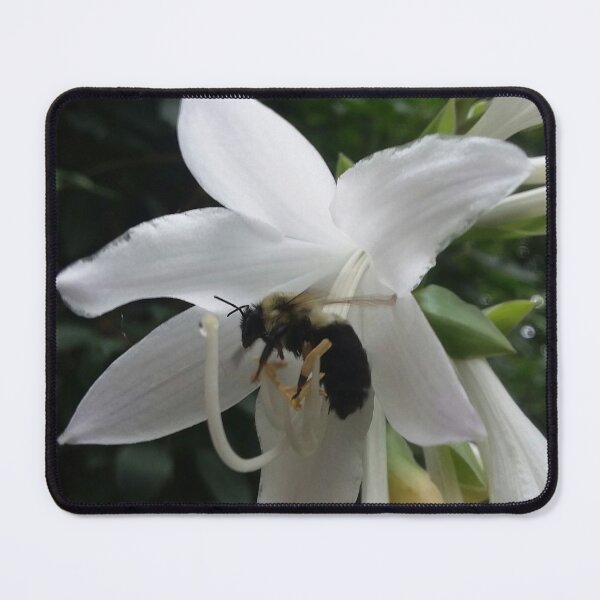 Item preview, Hosta bee designed and sold by edwardtiptonart.