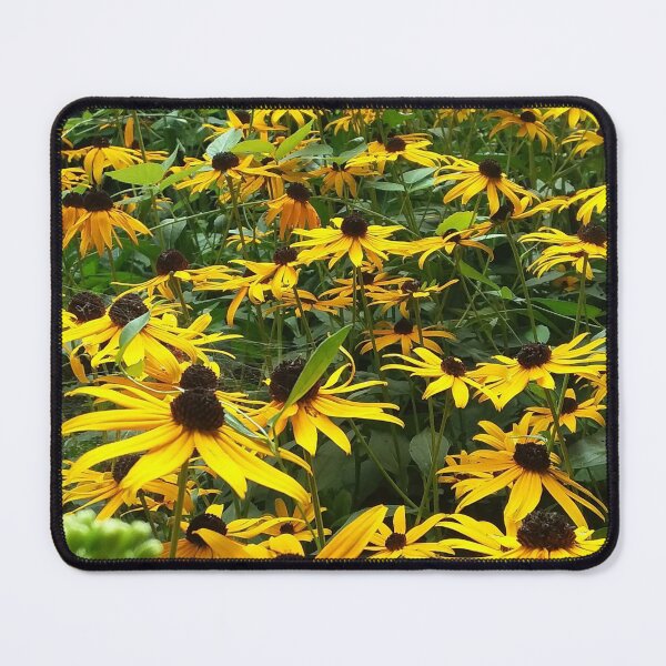 Item preview, Black eyed Susans designed and sold by edwardtiptonart.