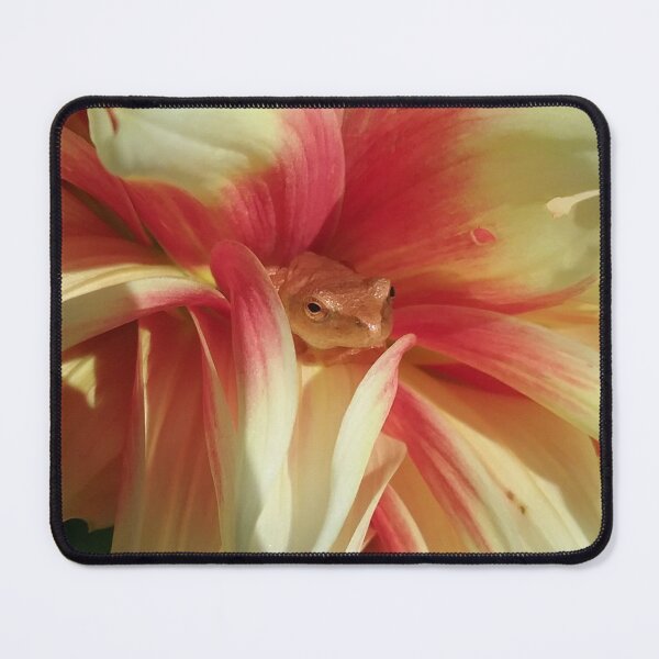 Item preview, Golden tree frog Dalia designed and sold by edwardtiptonart.