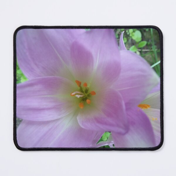 Item preview, Fall Crocus designed and sold by edwardtiptonart.