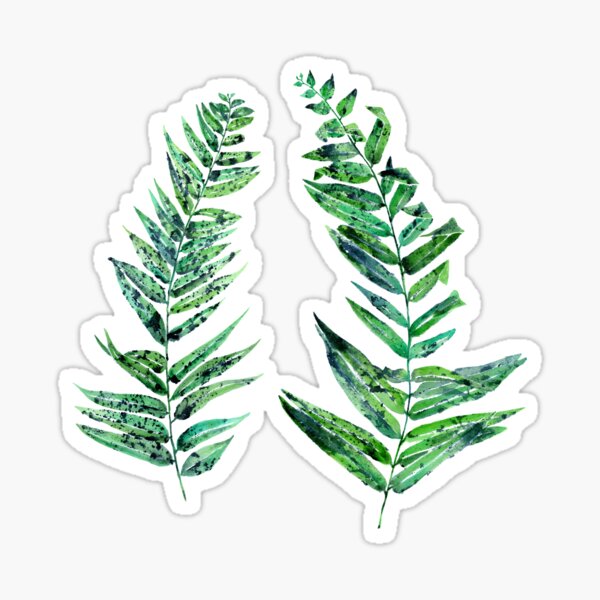 Item preview, Fern Leaf designed and sold by SamNagelArt.