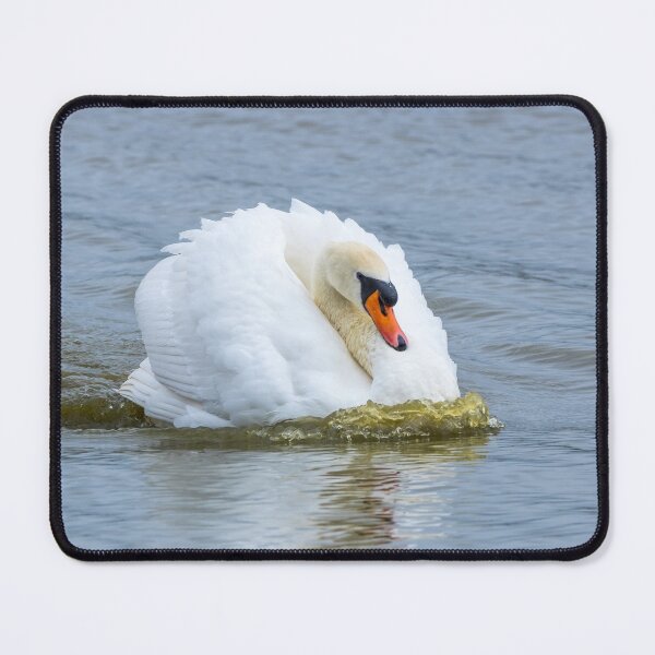 Item preview, White swan designed and sold by iCimages.net.