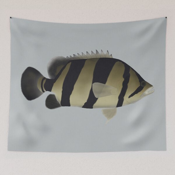 Item preview, Siamese Tiger Fish designed and sold by fishfolkart.