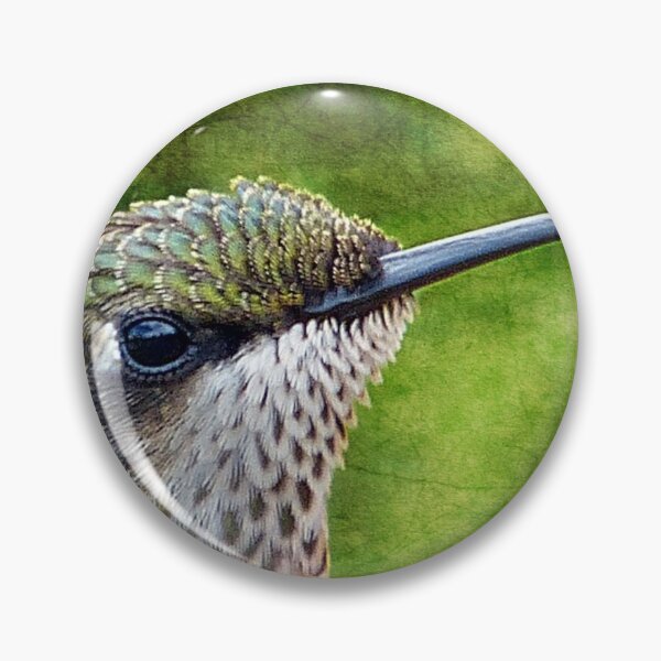 Item preview, Hummingbird Portrait designed and sold by Frankie Cat Photography.