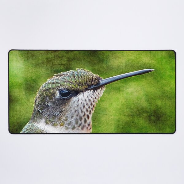 Item preview, Hummingbird Portrait designed and sold by Frankie Cat Photography.