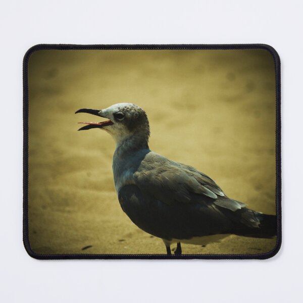 Item preview, Feisty designed and sold by Melanie Uadjit.