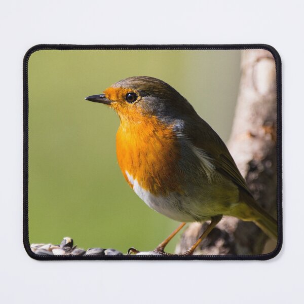 Item preview, Winter Robin designed and sold by iCimages.net.