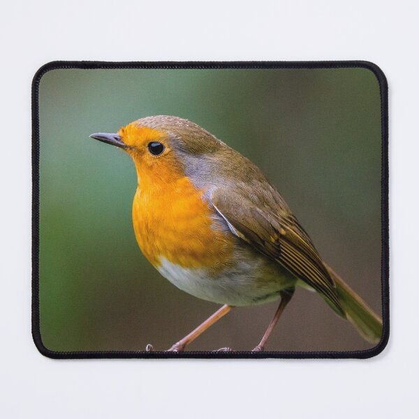 Item preview, Robin Red Breast designed and sold by iCimages.net.