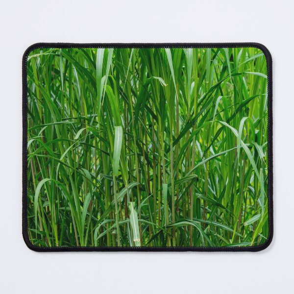 Item preview, Green Grass designed and sold by iCimages.net.
