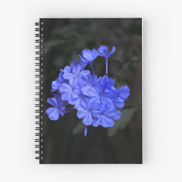 Item preview, Intensely Blue Flowers Plumbago designed and sold by Anna Lemos.