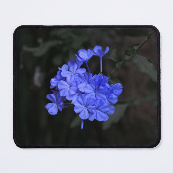 Item preview, Intensely Blue Flowers Plumbago designed and sold by Anna Lemos.