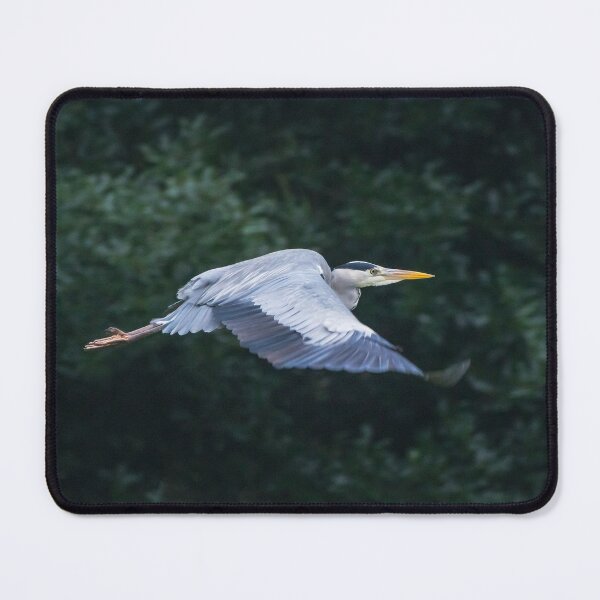 Item preview, Flying Heron designed and sold by iCimages.net.