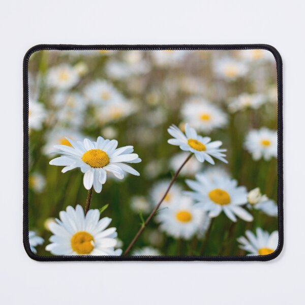 Item preview, Daisy Daisy designed and sold by iCimages.net.