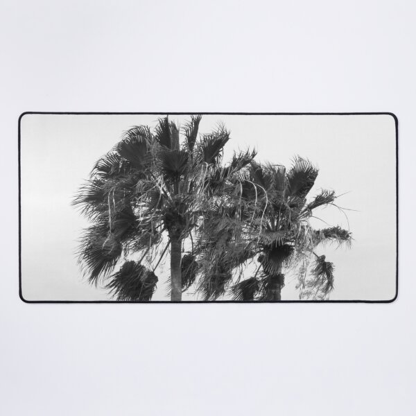Item preview, Palm Duo Delicado #1 #tropical #wall #art designed and sold by Anita's & Bella's Art.