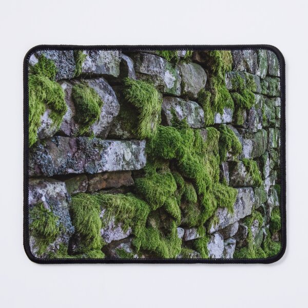 Item preview, Moss on a stone wall designed and sold by iCimages.net.