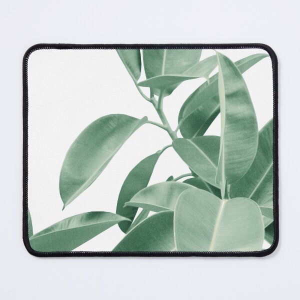 Item preview, Ficus Elastica Soft Green Glam #1 #tropical #decor #art  designed and sold by Anita's & Bella's Art.