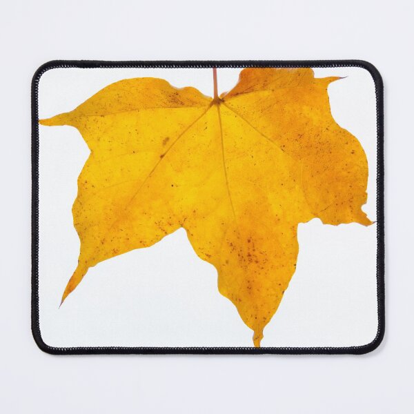 Item preview, Autumn yellow leaf designed and sold by iCimages.net.