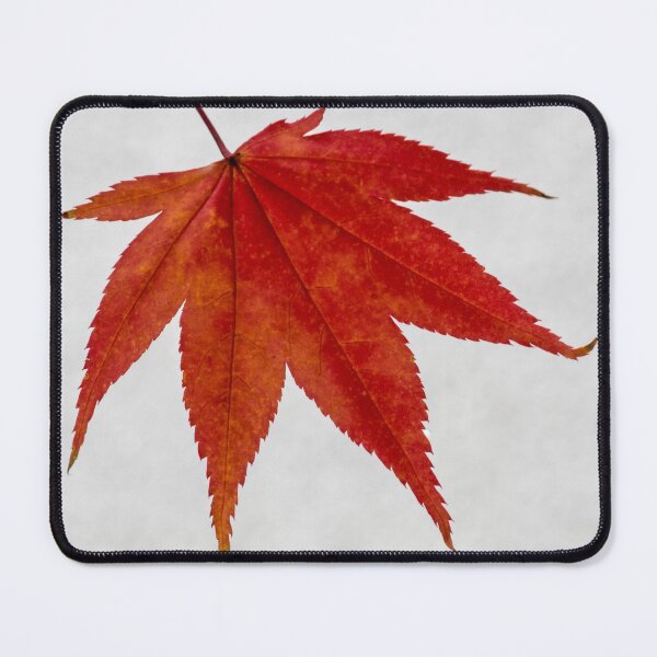 Item preview, Red Maple Leaf designed and sold by iCimages.net.