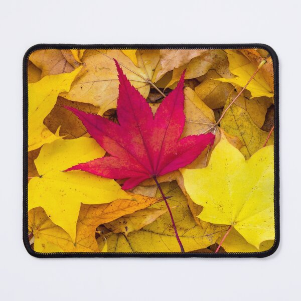 Item preview, Autumn leaves designed and sold by iCimages.net.