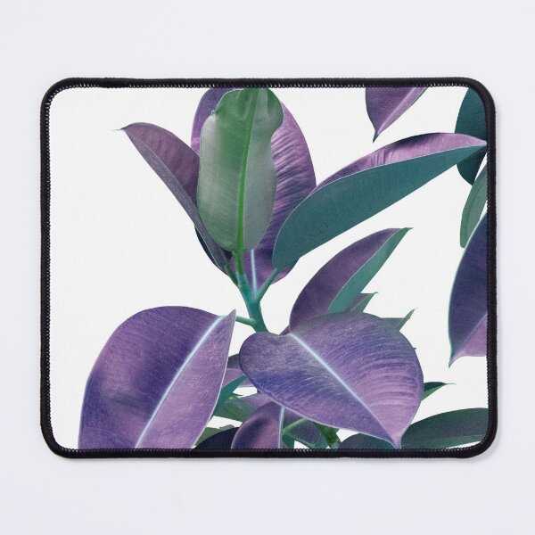 Item preview, Ficus Elastica Glam #2 #tropical #decor #art designed and sold by Anita's & Bella's Art.
