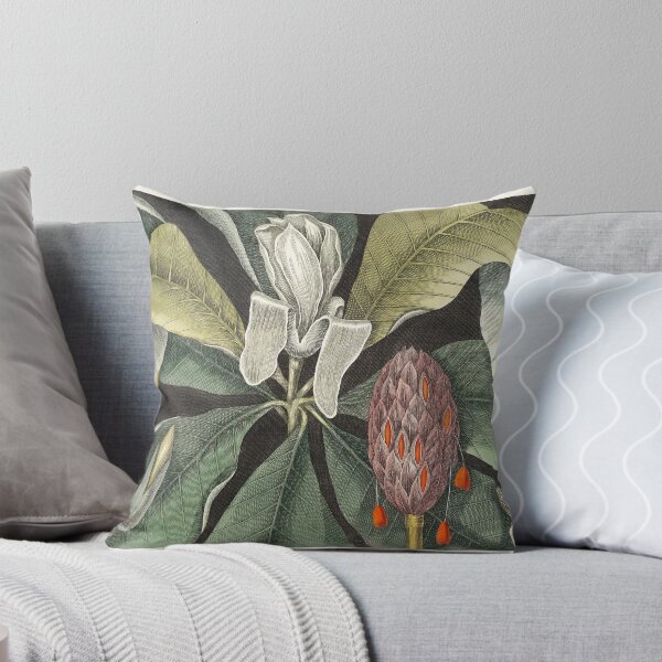 Item preview, Umbrella Tree (Magnolia) from The natural history of Carolina, Florida, and the Bahama Islands (1754) by Mark Catesby (1683-1749). Original from Biodiversity Heritage Library. designed and sold by LenaShines.