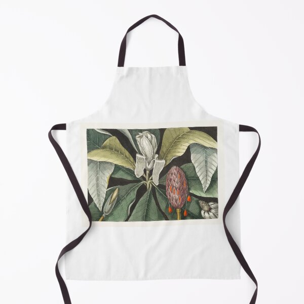 Item preview, Umbrella Tree (Magnolia) from The natural history of Carolina, Florida, and the Bahama Islands (1754) by Mark Catesby (1683-1749). Original from Biodiversity Heritage Library. designed and sold by LenaShines.