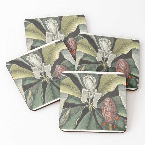 Item preview, Umbrella Tree (Magnolia) from The natural history of Carolina, Florida, and the Bahama Islands (1754) by Mark Catesby (1683-1749). Original from Biodiversity Heritage Library. designed and sold by LenaShines.