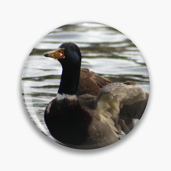 Item preview, Mallard Duck Flapping Its Wings designed and sold by Anna Lemos.