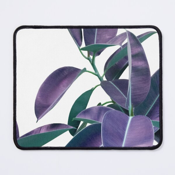 Item preview, Ficus Elastica Violet Green Glam #1 #tropical #decor #art designed and sold by Anita's & Bella's Art.