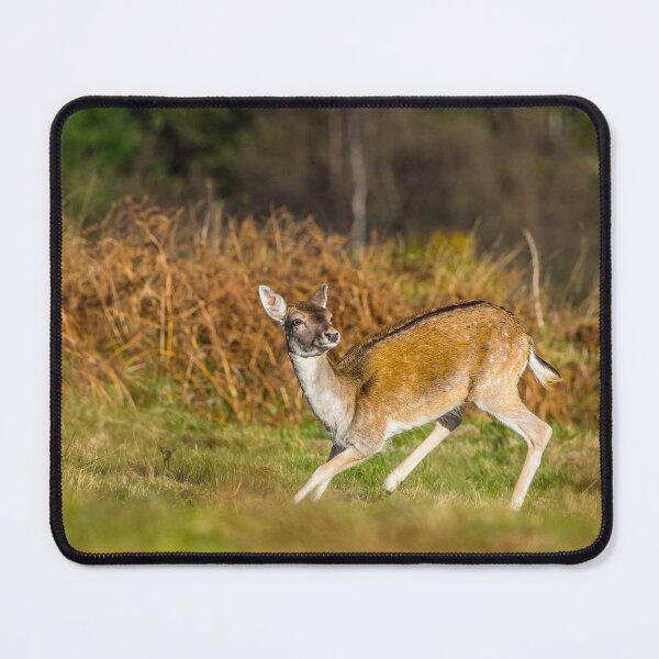 Item preview, Doe - Deer designed and sold by iCimages.net.