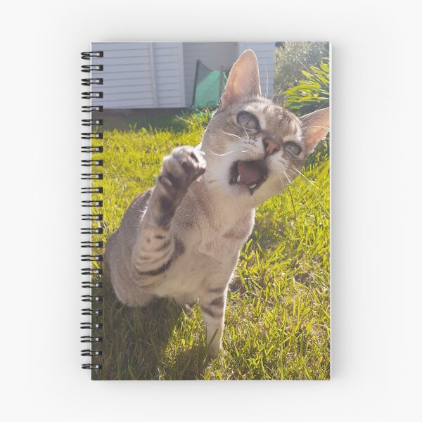 Item preview, Speedball in attack mode designed and sold by Cat-yawns.