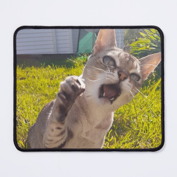 Item preview, Speedball in attack mode designed and sold by Cat-yawns.