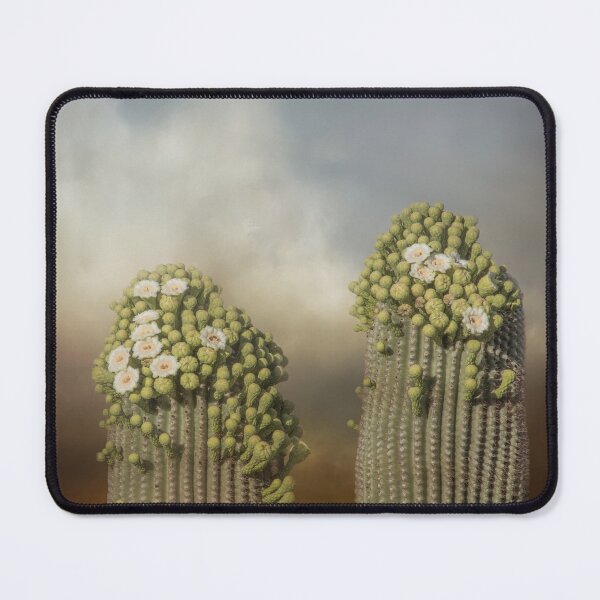 Item preview, Giant Saguaros in Bloom designed and sold by Elisabeth Lucas.