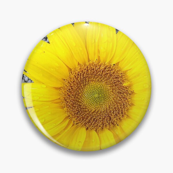 Item preview, Sunflower designed and sold by AnnabellaRh.
