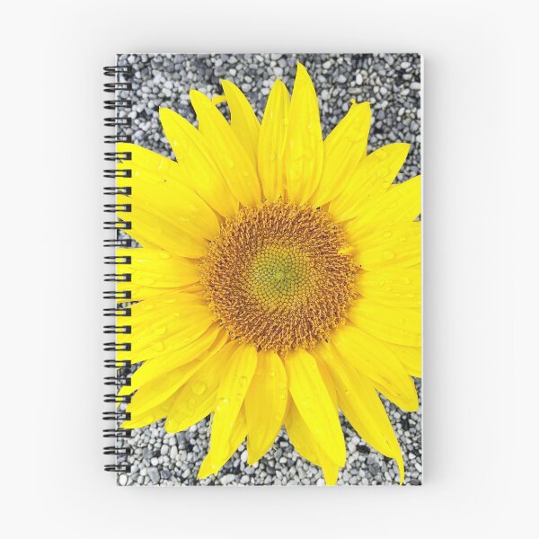 Item preview, Sunflower designed and sold by AnnabellaRh.