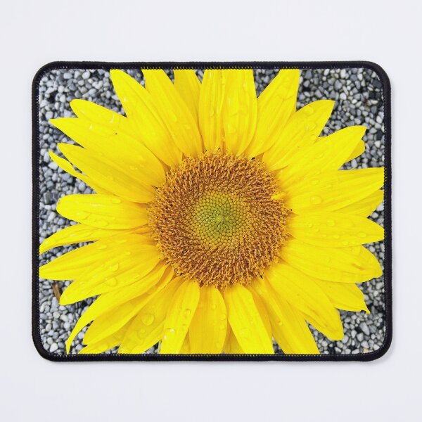 Item preview, Sunflower designed and sold by AnnabellaRh.