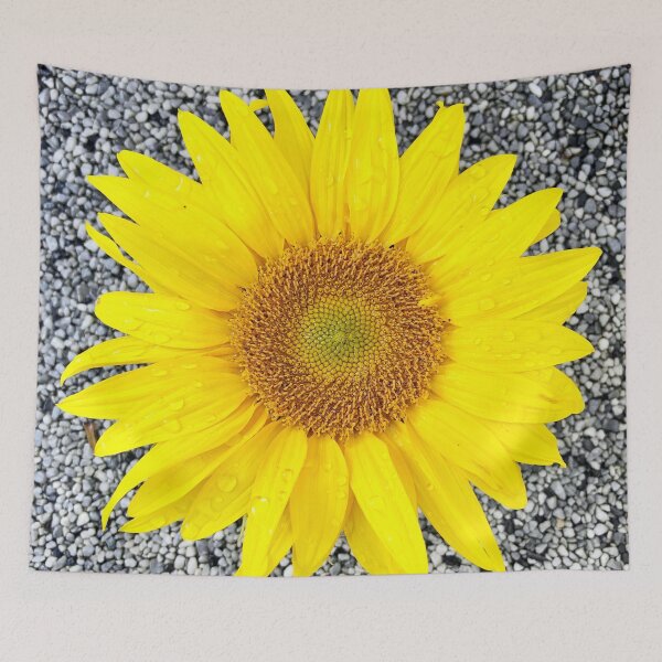Item preview, Sunflower designed and sold by AnnabellaRh.