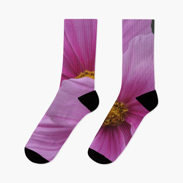 Item preview, Two Pink Flowers Cosmo Daisies Macro designed and sold by Anna Lemos.