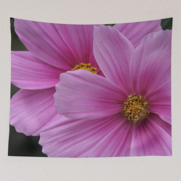 Item preview, Two Pink Flowers Cosmo Daisies Macro designed and sold by Anna Lemos.