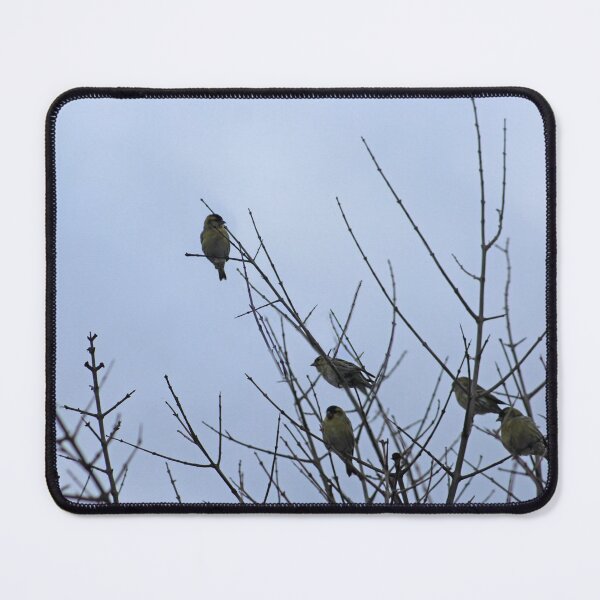 Item preview, Winter Birds on Bare Branches designed and sold by Anna Lemos.
