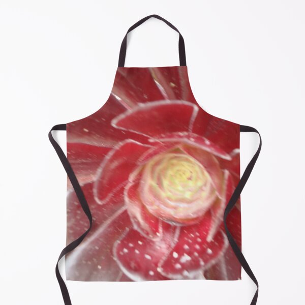 Item preview, Succulent Red Aeonium - Tresco Abbey Gardens, Scilly Isles  designed and sold by niki2028.