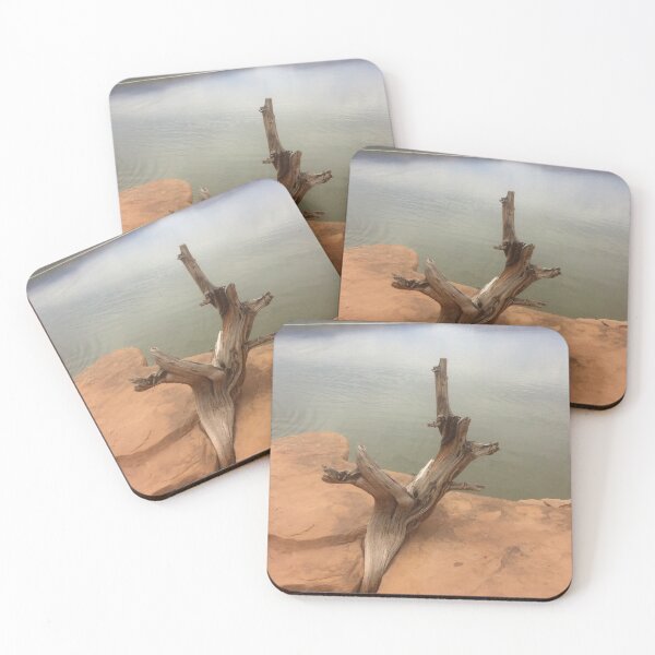 Item preview, Wood in Stone at Abiqui Lake  designed and sold by KR Art Studio.