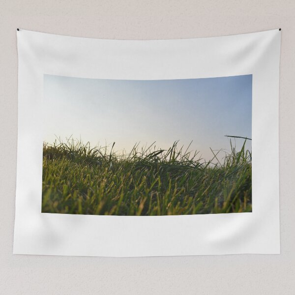 Item preview, Grass At Ground Level designed and sold by SEEphotos7171.