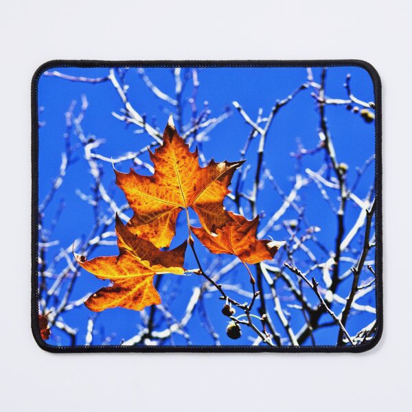 Item preview, Autumn Leaves designed and sold by Anna Lemos.