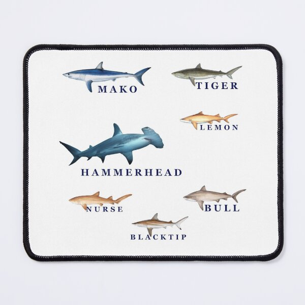 Item preview, Florida Keys Sharks designed and sold by KeysTreasures.
