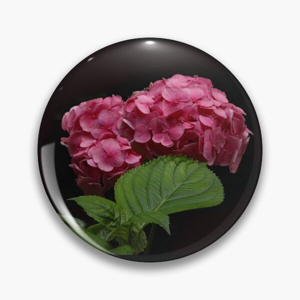 Item preview, A Wonderful Pink Hydrangea designed and sold by Karen Thomson.